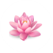 Swedish Massage in Nagpur